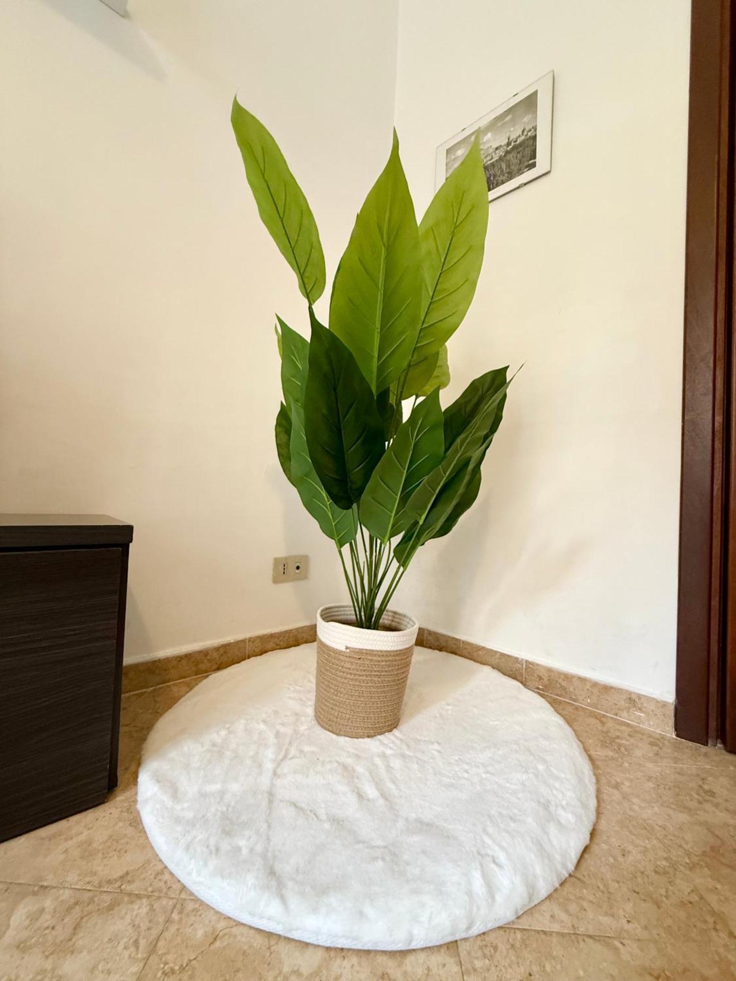 Gigi'S Apartment ปาแลร์โม ภายนอก รูปภาพ